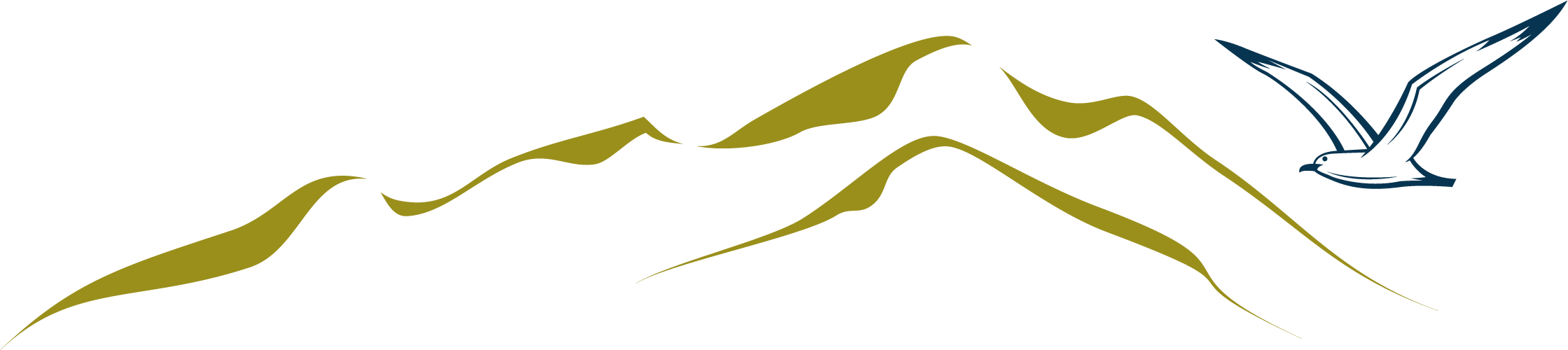 logo-chiemsee-alpenhotels